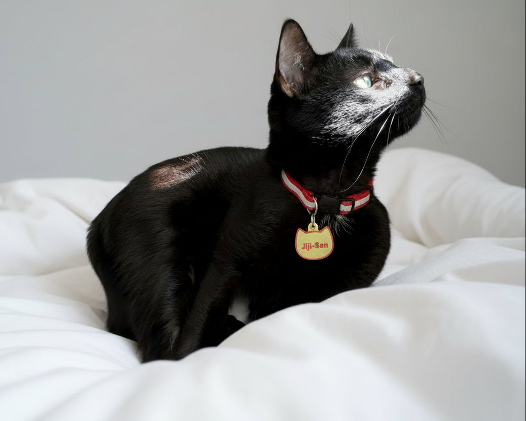 Custom Cat Tag ID