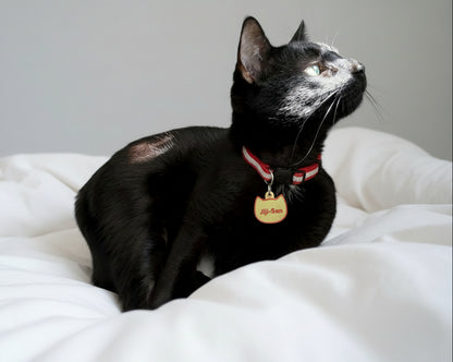 Custom Cat Tag ID